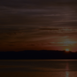 cropped-header.png