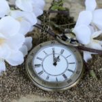 cropped-sand-blossom-plant-white-antique-leaf-510890-pxhere.com_-1.jpg