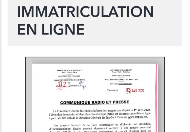Cameroun/ Impôrts : Informatisation de l’administration fiscale La connexion est plantée dans la région de l’Ouest